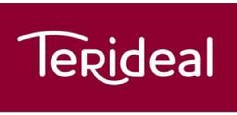 Logo Terideal